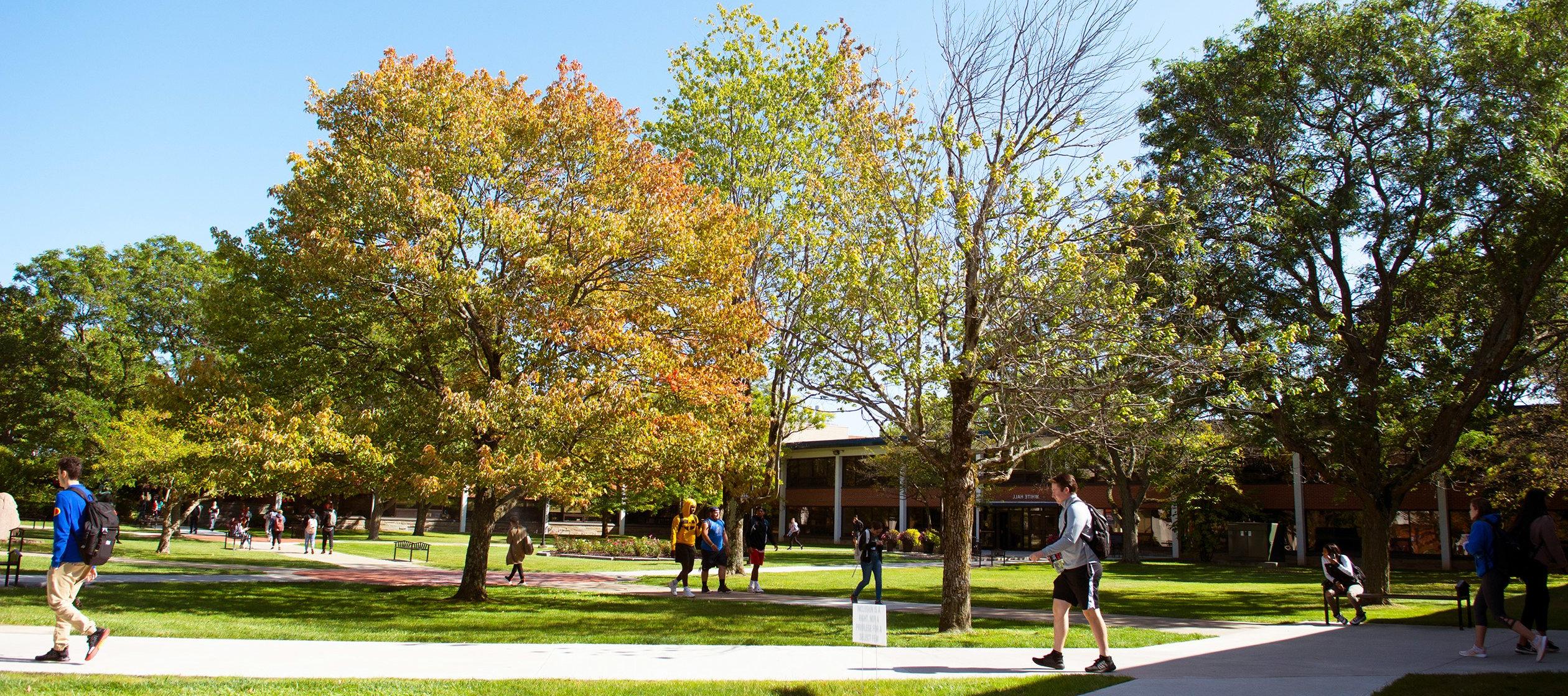 Utica College campus